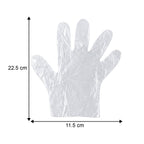 Disposable Clear Plastic Gloves (100 Pc, Large)