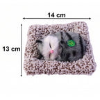 Decor Cat Open Eye Showpiece (1 Pc)